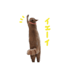 む～（個別スタンプ：13）