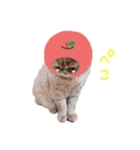 む～（個別スタンプ：15）