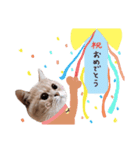 む～（個別スタンプ：16）