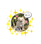 ハイパー♡プティ②（個別スタンプ：6）