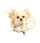 ハイパー♡プティ②（個別スタンプ：7）