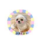 ハイパー♡プティ②（個別スタンプ：12）