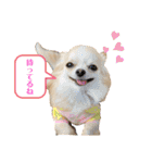 ハイパー♡プティ②（個別スタンプ：18）