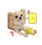 ハイパー♡プティ②（個別スタンプ：20）