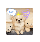 ハイパー♡プティ②（個別スタンプ：21）