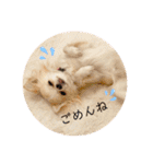 ハイパー♡プティ②（個別スタンプ：26）
