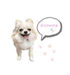 ハイパー♡プティ②（個別スタンプ：30）