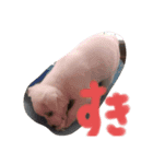 はると仲間（個別スタンプ：3）