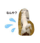 はると仲間（個別スタンプ：4）