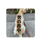 アビーくんです。（個別スタンプ：19）