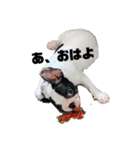 フレンチブルドッグのかいたん 16個ver（個別スタンプ：10）