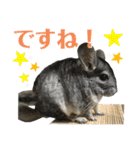 チンチラのおはぎくん総集編（個別スタンプ：29）