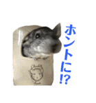 チンチラのおはぎくん総集編（個別スタンプ：32）