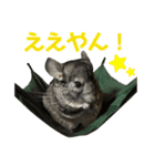 チンチラのおはぎくん総集編（個別スタンプ：38）