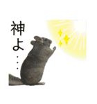 チンチラのおはぎくん総集編（個別スタンプ：40）