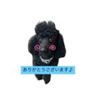 豚とペリカン（個別スタンプ：1）