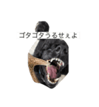 豚とペリカン（個別スタンプ：3）