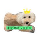 豚とペリカン（個別スタンプ：5）