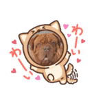 ボルドーマスティフ真ボーイのスタンプ（個別スタンプ：7）