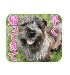ねずの本音（個別スタンプ：1）