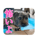ねずの本音（個別スタンプ：2）
