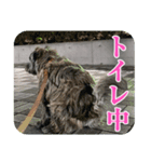 ねずの本音（個別スタンプ：5）