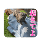 ねずの本音（個別スタンプ：6）