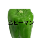 ピーマンスタンプw（個別スタンプ：5）
