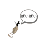 表情豊かなびびちゃんスタンプ（個別スタンプ：27）