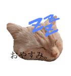 水島家のころもスタンプ（個別スタンプ：2）