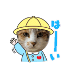 nyankoのスタンプ（個別スタンプ：5）