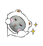 nyankoのスタンプ（個別スタンプ：6）