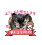 nyankoのスタンプ（個別スタンプ：14）