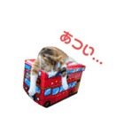nyankoのスタンプ（個別スタンプ：16）