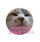 nyankoのスタンプ（個別スタンプ：21）