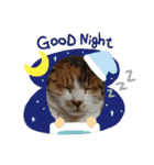 nyankoのスタンプ（個別スタンプ：31）