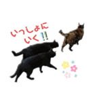 nyankoのスタンプ（個別スタンプ：38）