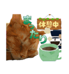 Johnny ＆ Chocola ❼（個別スタンプ：3）