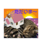 Johnny ＆ Chocola ❼（個別スタンプ：4）