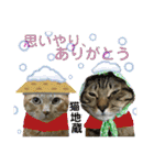 Johnny ＆ Chocola ❼（個別スタンプ：10）