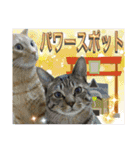 Johnny ＆ Chocola ❼（個別スタンプ：26）