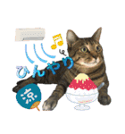 Johnny ＆ Chocola ❼（個別スタンプ：32）