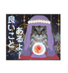 Johnny ＆ Chocola ❼（個別スタンプ：37）
