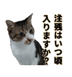 オフィスで使おう！キジ白ばぁば（個別スタンプ：18）