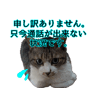 オフィスで使おう！キジ白ばぁば（個別スタンプ：32）