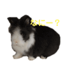 まんじろうのまんじろう（個別スタンプ：6）