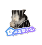 まんじろうのまんじろう（個別スタンプ：8）