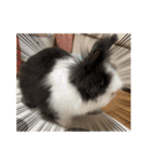 まんじろうのまんじろう（個別スタンプ：11）