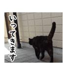 黒猫クーちゃんあいさつスタンプ（個別スタンプ：4）