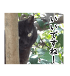 黒猫クーちゃんあいさつスタンプ（個別スタンプ：7）